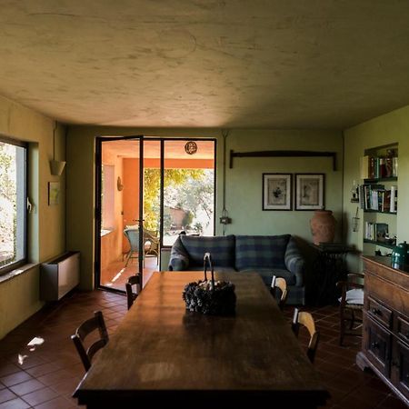 Studio/Flat Rustic Tuscan Marziani 2 Capannori Exterior photo